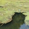 England water pollution at 10-year high, campaigners say