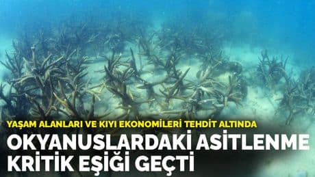 Okyanuslardaki asitlenme kritik eşiği geçti: Yaşam alanları ve kıyı ekonomileri tehdit altında