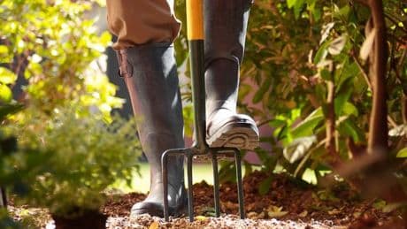 Heavy-duty 7-piece gardening tool set worth £150 is discounted to less than £100