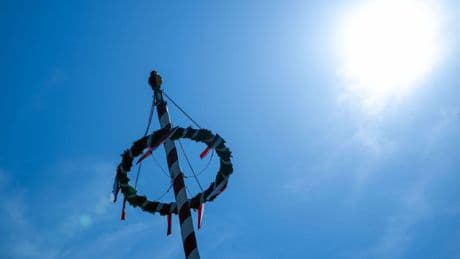 Polizei sucht Zeugen: Maibaum in Lostau abgesägt