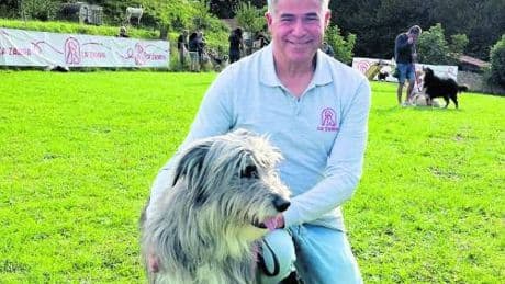 Rumori, folla e poco verde: i cani soffrono di stress da metropoli