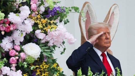 Porträt: Farbenrevolutionär des Tages: Donald Trump