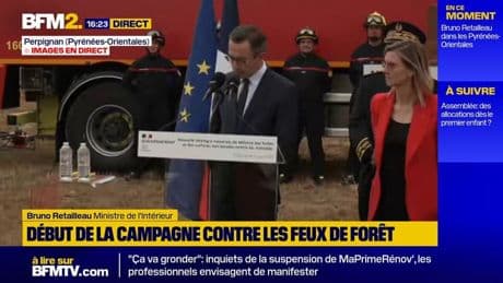 "Neuf feux de forêt sur dix d'origine humaine": Bruno Retailleau lance le début de la campagne contre les feux de forêt
