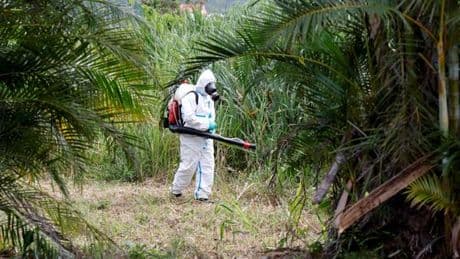 Chikungunya à La Réunion : le bilan provisoire passe à neuf morts, l’épidémie reste à un haut niveau de transmission