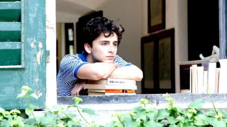 Graine de star, nomination aux Oscars à 22 ans... Timothée Chalamet, la naissance d’une idole