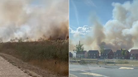 Huge blaze breaks out in Essex field as firefighters battle wildfires across UK