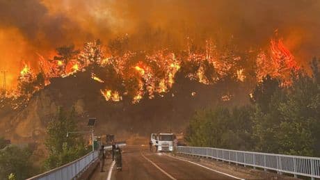 Turkey wildfires leave 10 dead and 14 in hospital