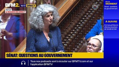 Sénat: "Le droit au logement n'est pas appliqué aujourd'hui en France", selon la sénatrice Marianne Margaté