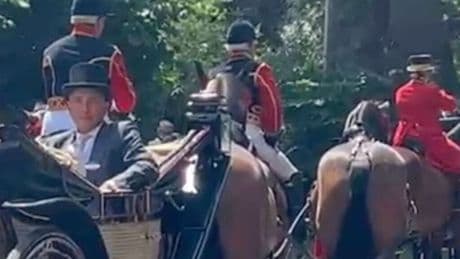 Princess Anne's carriage dramatically breaks down during Royal Ascot procession