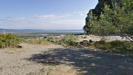 Mystery after human toe is found in a gift box that was left at a Washington state park