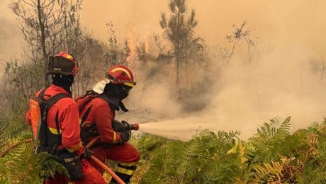 La ola de incendios ha reavivado una vieja polémica en España: puede o no puede limpiarse el monte