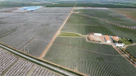 Los fondos y 'family office' disparan un 25% su inversión en fincas rústicas