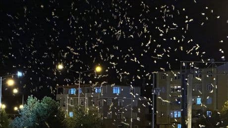 Yüz binlercesi kenti sardı, 'ölüm dansı' başladı
