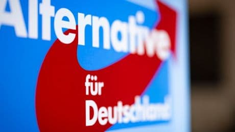 CDU-Abgeordneter van Beek fordert AfD-Verbot