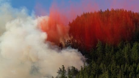 ‘We are going to be challenged’: B.C. wildfire risk climbs amid heat warnings