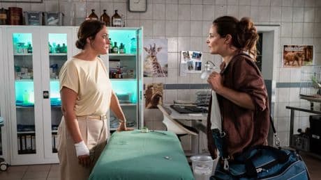 Vorschau: TV-Tipps am Dienstag