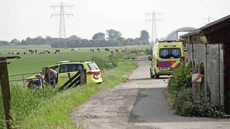 Zoon na dood vader (79) door stier: ’Zijn eigenwijsheid werd hem fataal’