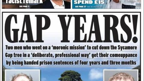 Quatre ans à l’ombre pour avoir abattu l’arbre le plus célèbre d’Angleterre