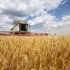 Förderung der Landwirtschaft: Ostdeutsche Bauernverbände kritisieren EU-Pläne
