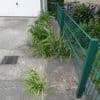 Kiezkamera Tempelhof-Schöneberg: Blumen auf Beton und Hilfe bei Hitze