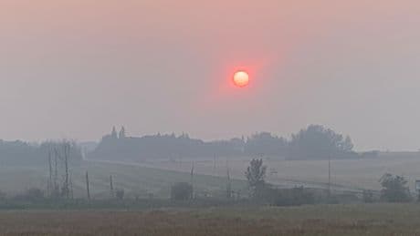 Air quality warnings issued in Alberta, Sask. as wildfire smoke blankets provinces