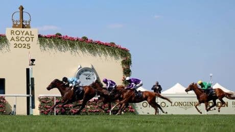 Royal Ascot full results: Tips and racecard as jockey blasted over 'terrible ride'