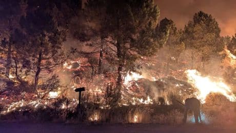 Brigadas vecinales contra el fuego en El Arenal: "Estamos confinados, pero salimos porque no podemos ver arder el monte"