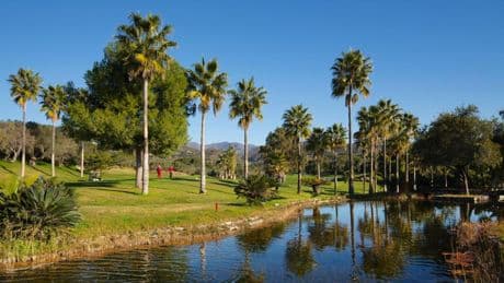 Two holidaymakers injured after plunging buggy down 23ft ravine at Marbella golf club after smashing into barrier