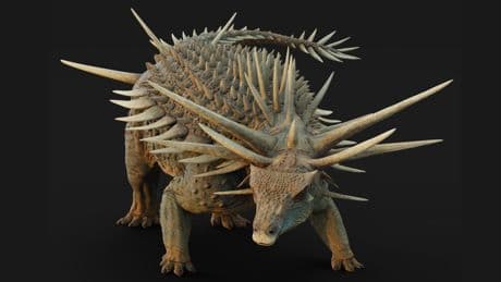 Des plaques, des pics et une massue : le bouclier osseux des ankylosaures était bien plus impressionnant que dans Jurassic World
