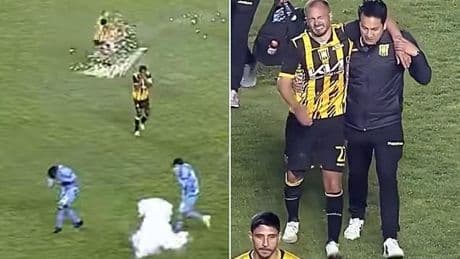 Horrifying moment top-flight footballer is hit by a FIREWORK in a VERY private area during a game - as extent of his gruesome injury is revealed