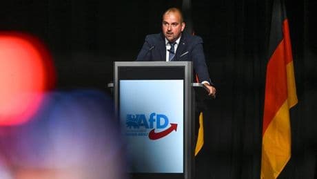 Sachsen-Anhalt: AfD-Landtagsfraktion in Sachsen-Anhalt nimmt Daniel Roi wieder auf