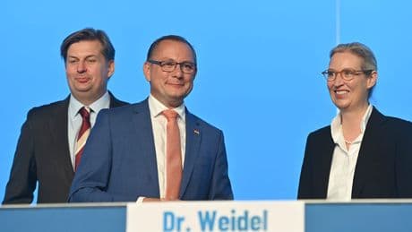 Plötzlich zahm? - Der AfD-Geheimplan, um an die Macht zu kommen