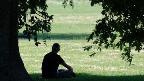 WHO-Bericht: 880 000 Todesfälle pro Jahr durch Einsamkeit