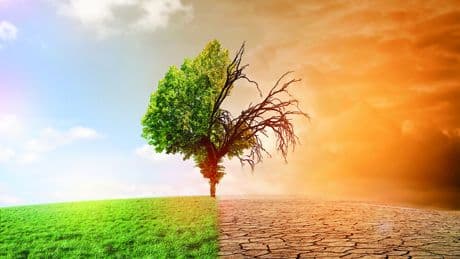 « 2030, Investir Demain » : un an de réflexion pour faire bouger la finance durable