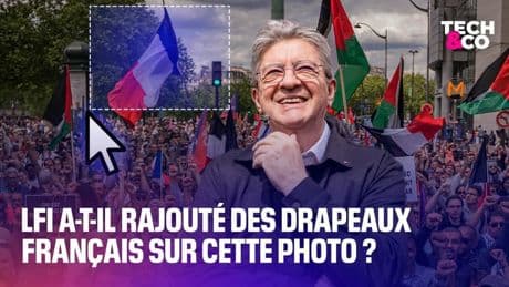 LFI a-t-il rajouté des drapeaux français sur cette photo?