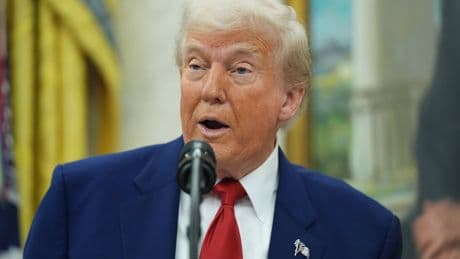 El Tribunal de Comercio de Estados Unidos anula los aranceles de Trump