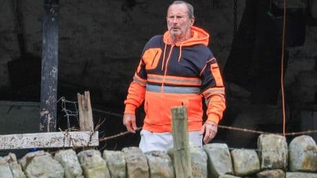 'I was accused of felling Sycamore Gap tree and wore Rod Stewart wig as disguise in public'