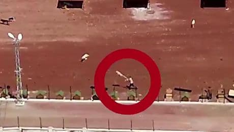 Belediyeye ait hayvan barınağında insanlık dışı vahşet: Masum canlara böyle zulmedildi