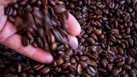 Globales Kaffeegeschäft: Neuer Kaffee-Riese geplant: Keurig Dr Pepper will JDE Peets