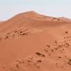 Namibie : sur les dunes du plus vieux désert de la planète