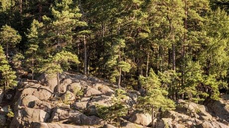 Wanderweg in Schweden: Die Schäre im Kopf