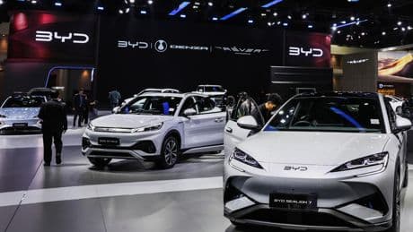 Bertille Bayart : «Quand la Chine nous submergera»