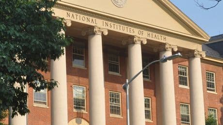 N.I.H. Memo Pauses Cancellations of Medical Research Grants