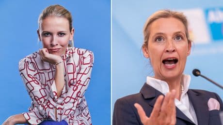 Verbotsverfahren beseitigt den AfD-Spuk nicht und würde fatales Signal senden