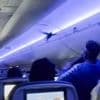 Pandemonium as 2 pigeons take over Delta plane cabin, panicking passengers