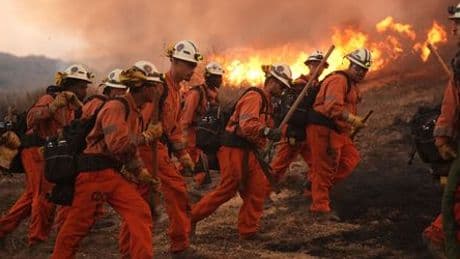 USA: Feuerwehr kämpft gegen Waldbrand nahe Los Angeles