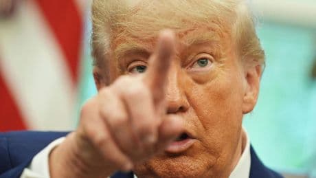 Zollstreit mit den USA: Zwei deutsche Branchen von Trumps Strafzöllen ausgenommen