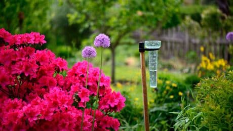 Jardin : du bien-fondé d’un pluviomètre
