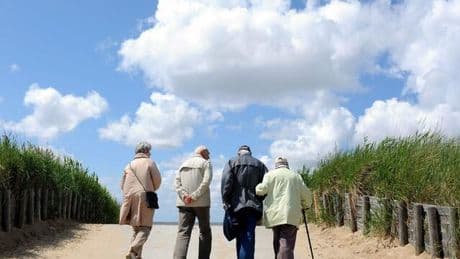 Rentenversicherung: Beitragssatz könnte „um zwei Prozentpunkte niedriger liegen“