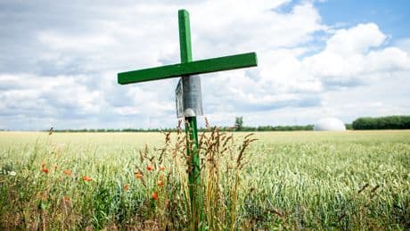 Oft am Straßenrand: Warum die grünen Kreuze keine Unfallstelle markieren